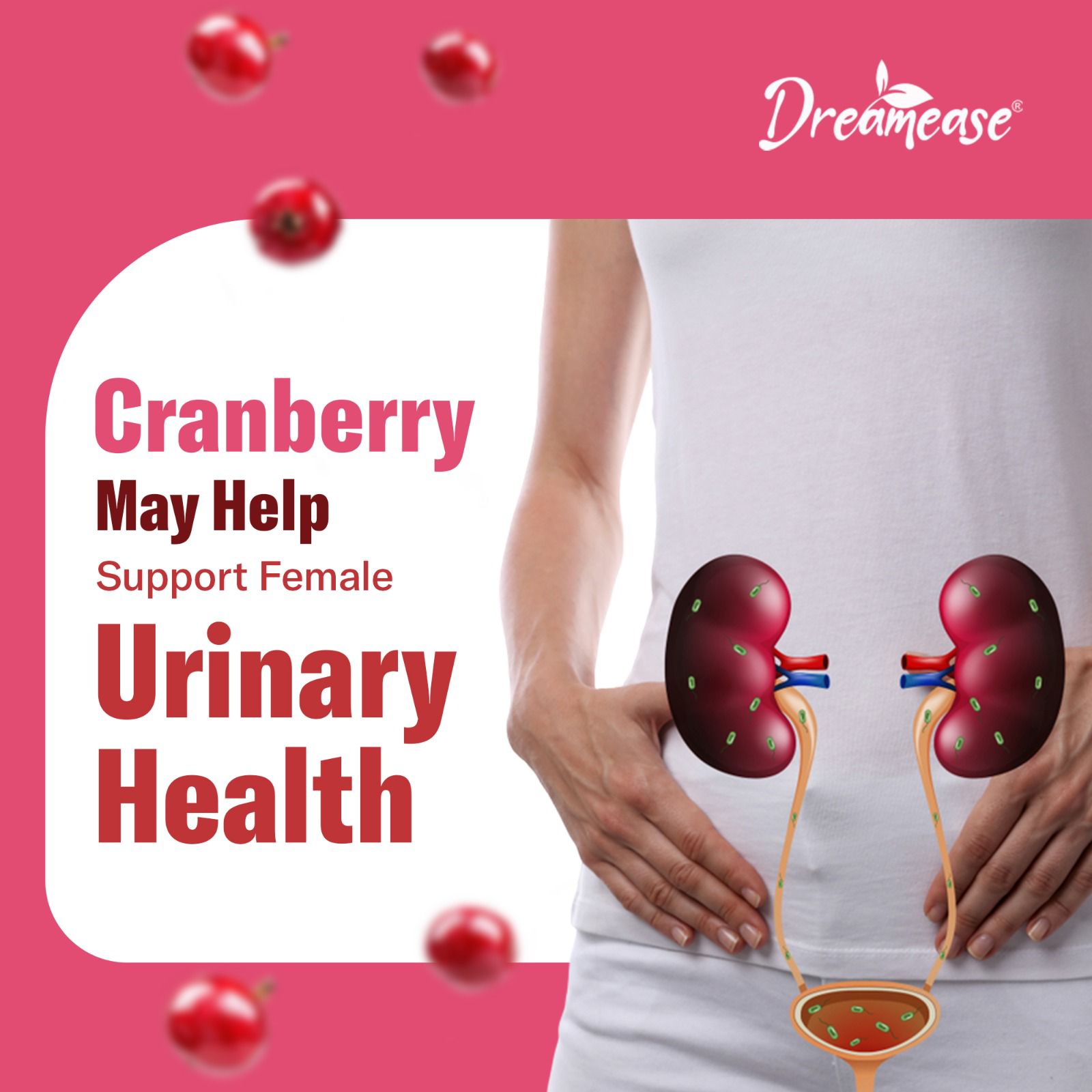 Dreamease UTI Defence Gummies